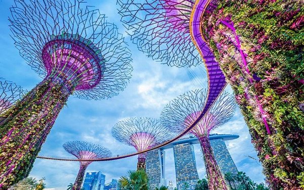 Singapore Free & Easy